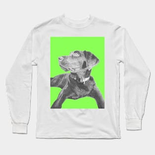 Black Labrador Retriever in Green Long Sleeve T-Shirt